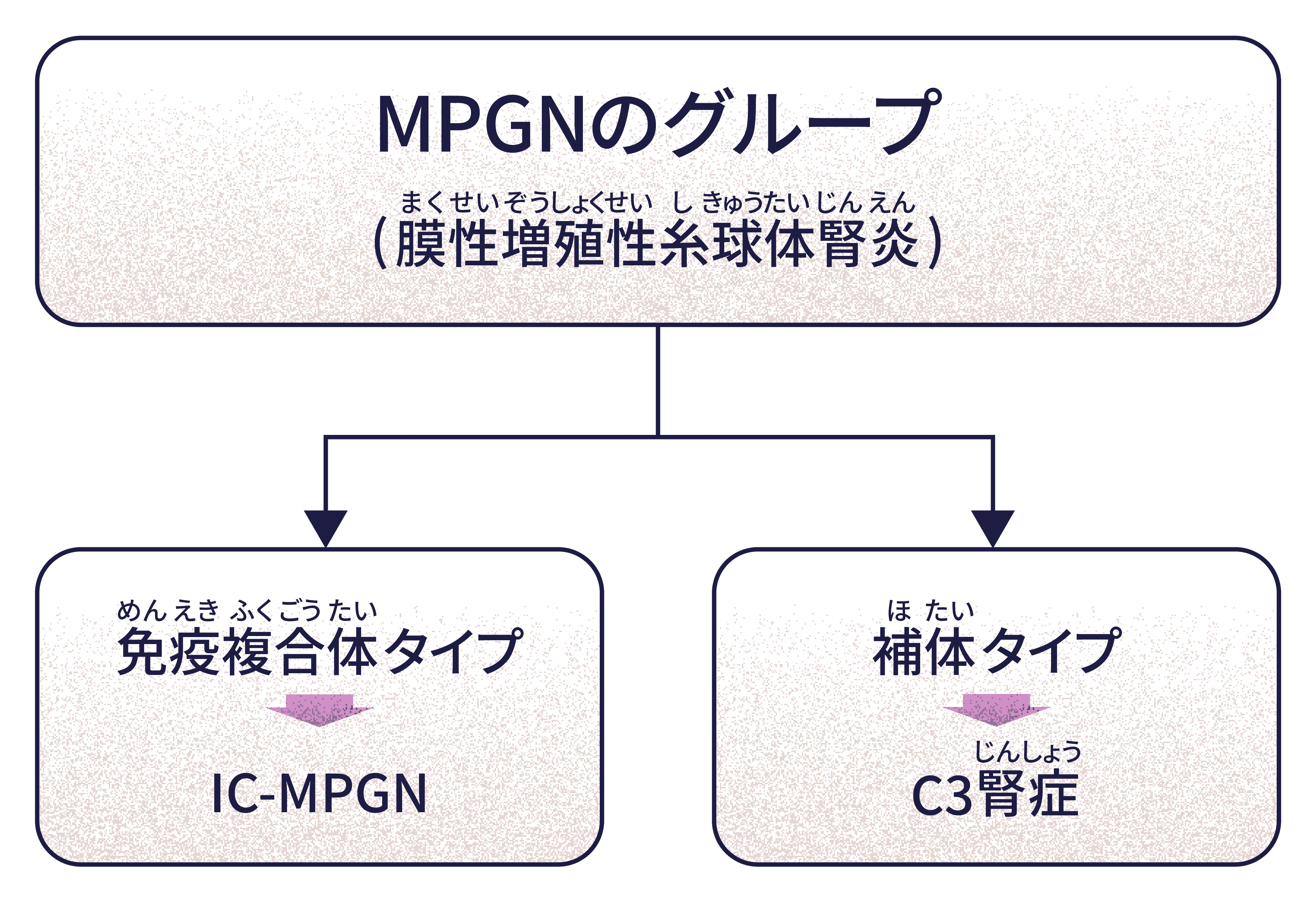 MPGNのグループ